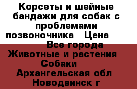 Корсеты и шейные бандажи для собак с проблемами позвоночника › Цена ­ 2 500 - Все города Животные и растения » Собаки   . Архангельская обл.,Новодвинск г.